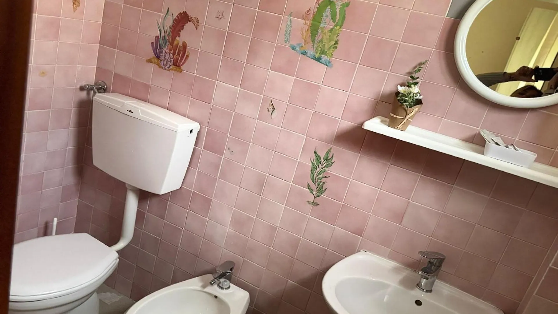 ***  Hotel Bologna Rimini Italia