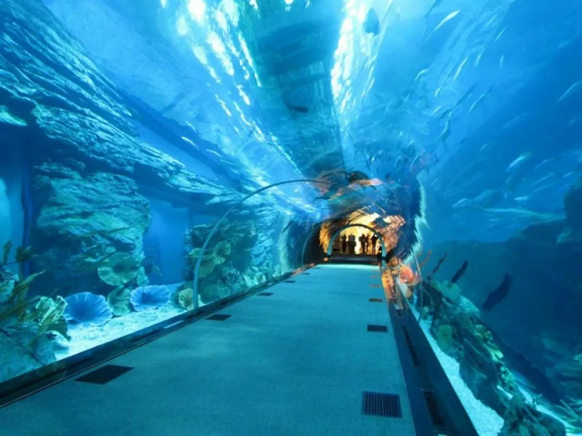 Hotel Bologna Rimini